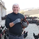 İsviçre'den döndü çocukluk hayalini gerçekleştirdi: Günde 3 bin 500 yumurta üretiyor 