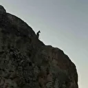 Tunceli'de koruma altındaki dağ keçileri görüntülendi