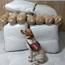 Yolcu otobüsünde 400 kilogram kaçak tütün ele geçirildi 