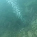 Sapanca Gölü'ndeki gizemli kabarcıklar depremin habercisi mi? Uzman isim açıkladı