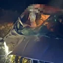 Hafif ticari araç yola çıkan ata çarptı: Yaralılar var