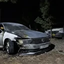 مستوطنون يجددون اعتداءاتهم على ممتلكات فلسطينية بالضفة