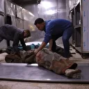 Filistin Esirler Cemiyeti: İsrail hapishanelerindeki Filistinli esirlerin durumu felaket düzeyde