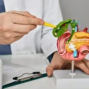 Safra yolları kanserinde kemoterapi-immünoterapi kombine tedavisiyle hayatta kalma oranı artıyor