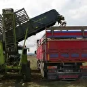 Çiftçilerin zorlu pancar mesaisi devam ediyor