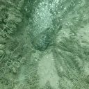 Sapanca Gölü'ndeki kabarcıklar endişeye yol açtı: Sosyal medyada gündem olan görüntünün nedenini uzmanı açıkladı