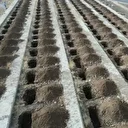 Erzurum'da dondurucu soğuklar öncesi '500 kışlık mezar' kazıldı