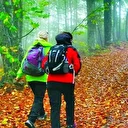 Fırtınada yürüyüş yapan 5 turist öldü