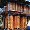 Köy açık fabrikaya dönüştü: Yılda sadece 20 gün uğraşıyorlar! Çok iyi gelir kaynağı