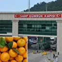 Sınır kapısındaki denetimde tespit edildi: 6 bin 100 kilogram mandalina imha edildi