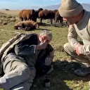 Erzurum’da 2 gündür aranan çoban 160 koyunuyla birlikte sağ bulundu: Ambulansa kadar Mehmetçik taşıdı