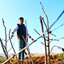 Tarımda kuraklık hesabı