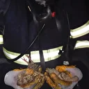 Balıkesir’de tavuk çiftliğinde çıkan yangında 5 bin civciv öldü