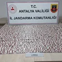 Zehir tacirlerine operasyon: Bir kişi tutuklandı