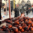 Kışın şifa kaynağı: Geçen yıl 100 gramı 80 liraydı bu yıl fiyatı arttı, kokusunu alan yemeden geçemiyor