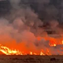 Putka Gölü sazlığında yangın: Ekiplerin müdahalesi sürüyor