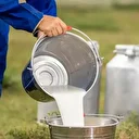 Türkiye'nin çiğ süt üretimi artış gösterdi