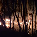 Ordu'da ormana sıçrayan örtü yangını kontrol altına alındı