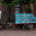 Le changement climatique aggrave la dengue au Bangladesh