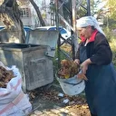 Kendini bu işe adadı: 34 yıldır sonbahar yapraklarını toplayıp gübreye dönüştürüyor