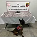 Şanlıurfa’da uyuşturucu operasyonu: 2 gözaltı