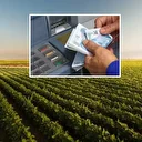 Organize tarım bölgelerindeki projelere 6 milyar liralık kredi ve hibe desteği