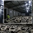 Değeri tam 8 milyon TL! Devlet yardımıyla yaptı: “Bu imkânlarla kurduk” deyip nasıl hibe aldığını açıkladı