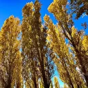 Hazar Gölü'nün çevresi sonbahar renklerine büründü