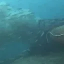 Çanakkale Boğazı'nda denize dökülen pis su, dalgıç kamerasında