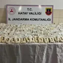 Zeytin bahçesinde 'zehir hasadı': Binlerce uyuşturucu hap ele geçirildi