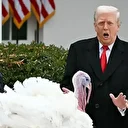 ABD Başkanı Trump iki hindiyi affetti