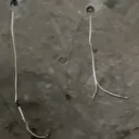 Samsun'da kaçak kazı yapan 7 kişiye suçüstü