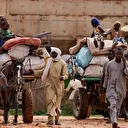 الهجرة الدولية: نزوح 1040 شخصا بولاية جنوب كردفان السودانية