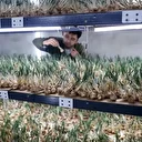 Deneme amaçlı kurdu: Yılda 1 milyon liradan fazla getiri sağlayabilir 