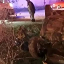 Amasya’da otomobiller çarpıştı: 1 ölü 3 yaralı