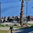 Trabzon'da güneşli havada sahiller doldu taştı: Kimi çay keyfi yaptı kimi balık tuttu