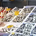 Hamsi bolluğu tezgahları şenlendirdi