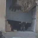 İşgal askerleri Batı Şeria'da 2 Filistinliyi kameralar önünde katletti