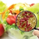 Uygun sıcaklıkta saklanmayan sokak lezzetleri gıda zehirlenmesine yol açabilir