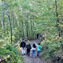 Canik Ekoturizm Alanı ve Doğa Yürüyüş Parkuru doğaseverleri ağırlıyor