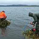 Finlande: alerte sur le déclin de la biodiversité aquatique