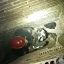 Bursa'da havalandırma boşluğuna düşen yavru kediyi itfaiye ekipleri kurtardı