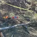 Trabzon'da kestiği ağaç üzerine devrilen kişi hayatını kaybetti