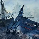 Artvin’de örtü yangını ormana yayıldı