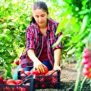 Kadın eliyle tarım yeniden doğuyor