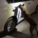 Afyonkarahisar’da 11 kilo uyuşturucuyla yakalanan şüpheli tutuklandı