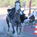 Akrobat baba-kız geleneksel atlı savaş sanatını yaşatıyor