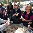 Japonların gözdesi yetişti, herkes toplamak için yarışıyor: Bin liraya kadar alıcı buluyor