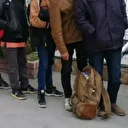 Edirne ve Kırklareli'nde 32 düzensiz göçmen yakalandı