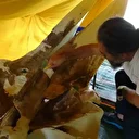 Çıkarılması bir hafta sürdü: Tam 16 metre! Böylesi ilk kez yaşanıyor